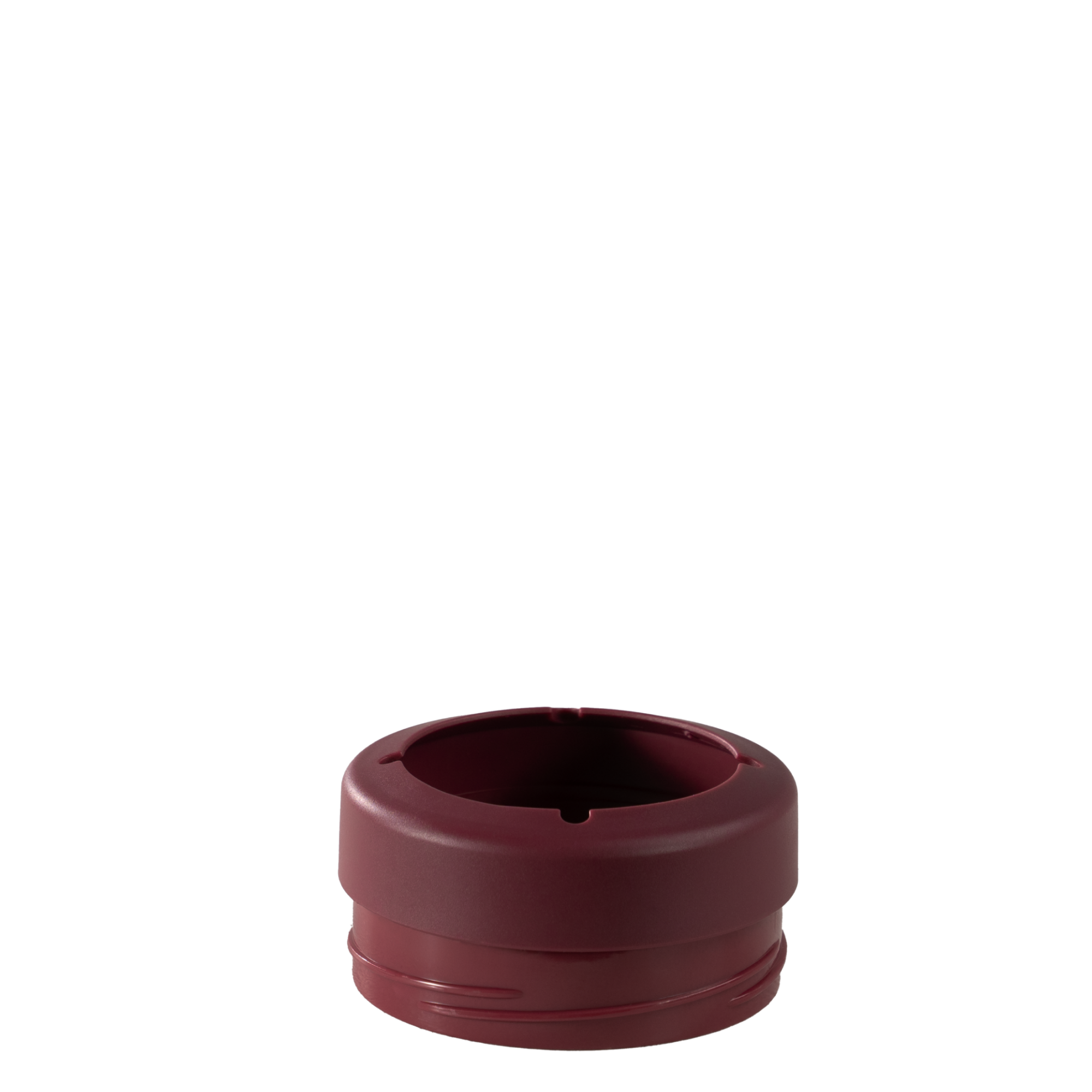 Winter Berry - Image 4