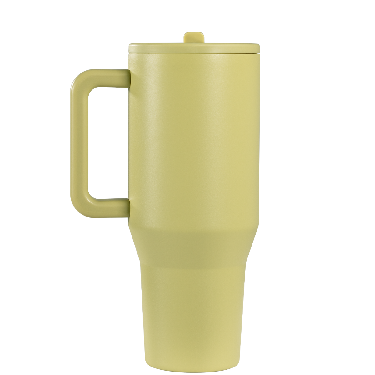 Olive - Image 4