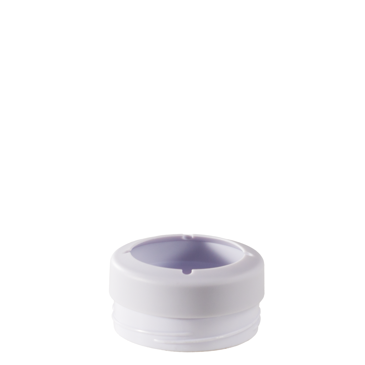 Primrose - Image 4