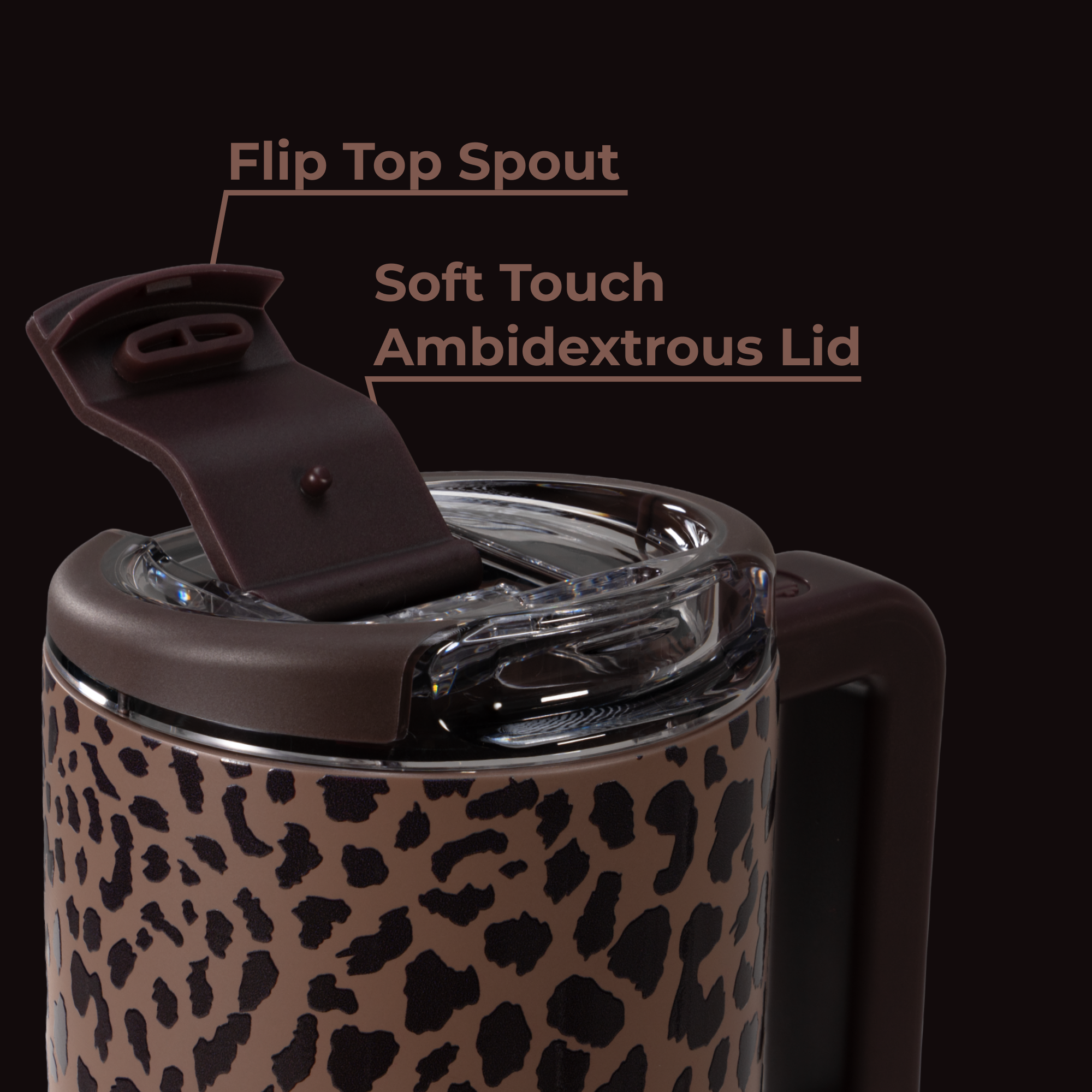 Brown Leopard - Image 6