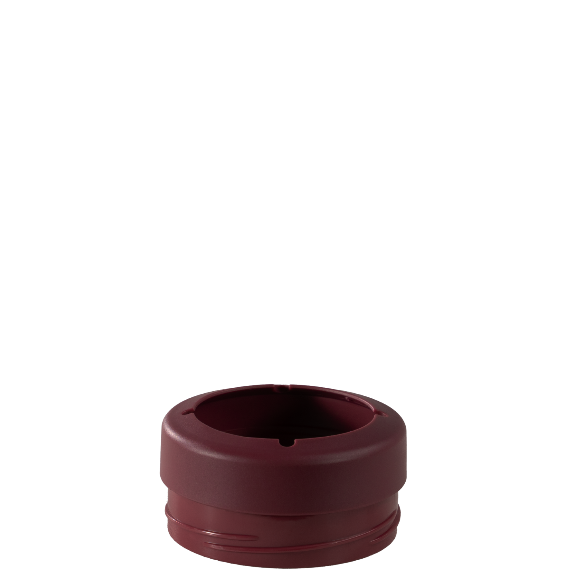 Winter Berry - Image 3