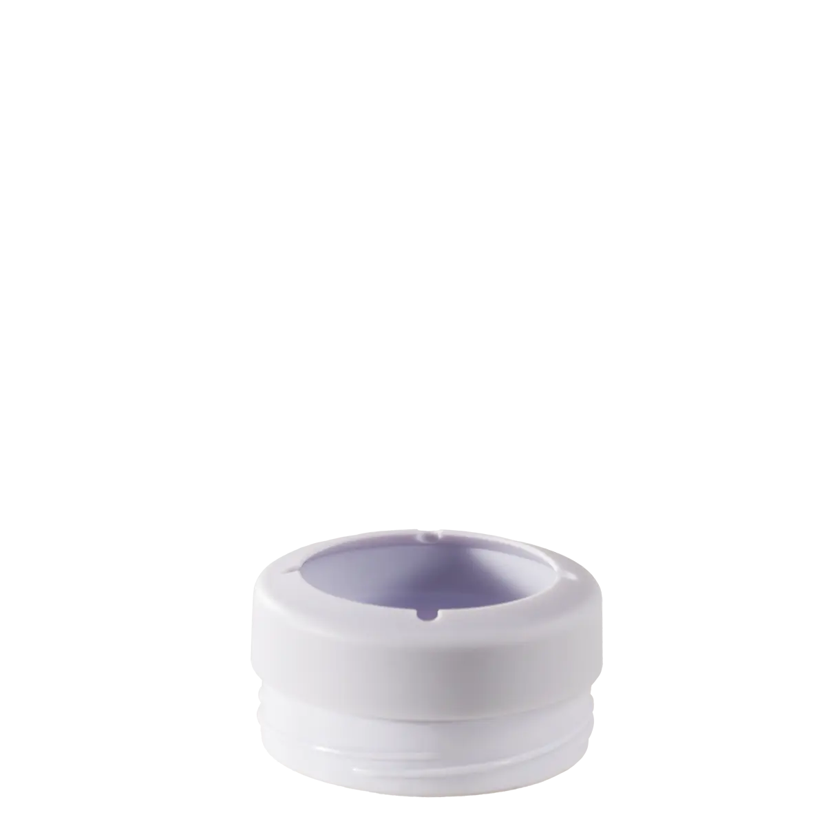 Primrose - Image 4