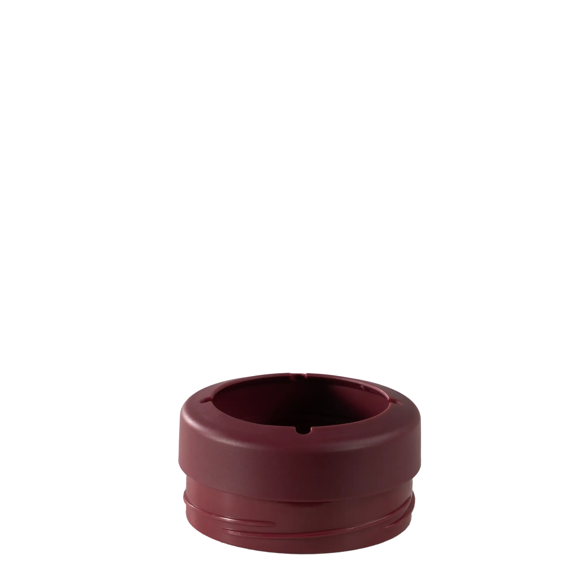 Winter Berry - Image 4