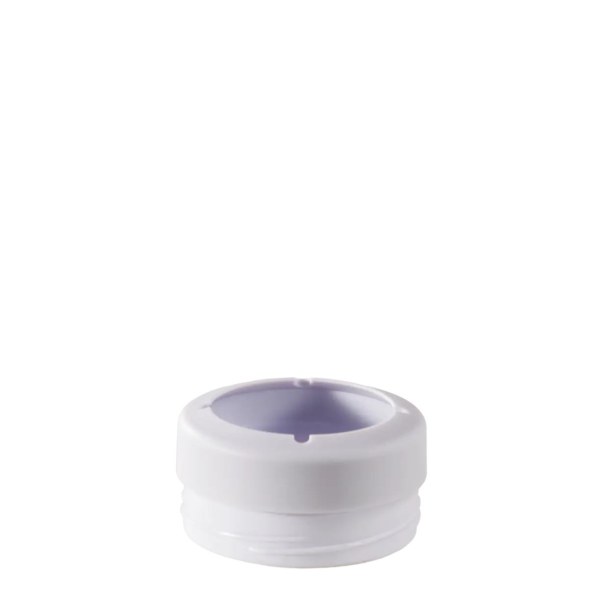 Primrose - Image 4